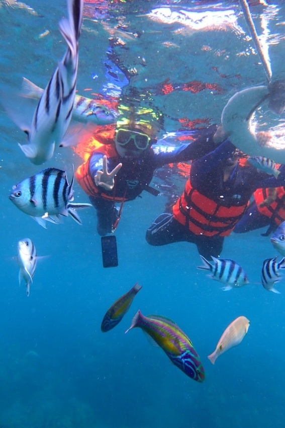 240303.jpg - 【屏東.墾丁】萬里桐浮淺。人類$350含裝備+寵物免費寵物必須會游泳。辛巴初次體驗浮淺 240303.jpg - 【屏東.墾丁】萬里桐浮淺。人類$350含裝備+寵物免費寵物必須會游泳。辛巴初次體驗浮淺