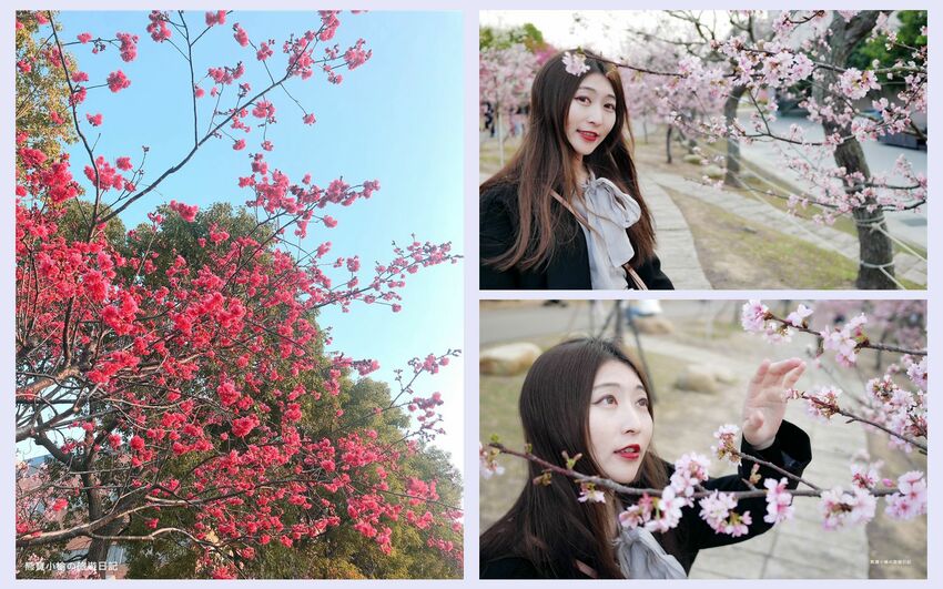 【台中南區美食】信兵衛南門町目新開幕，浮誇系爆量海鮮丼飯、握壽司、烏龍麵！超人氣日式居酒屋，內文附詳細菜單價位介紹。 @熊寶小榆の旅遊日記