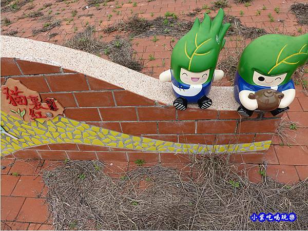 貓裏紅-八甲茶園魯冰花季 (16).jpg