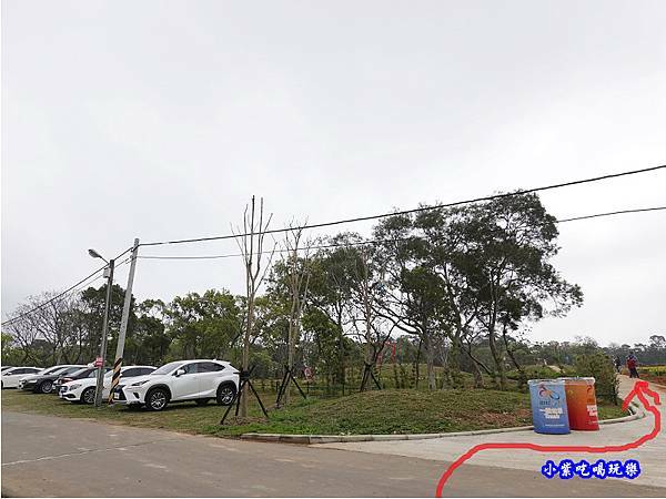 貓裏紅-八甲茶園魯冰花季 (8).jpg