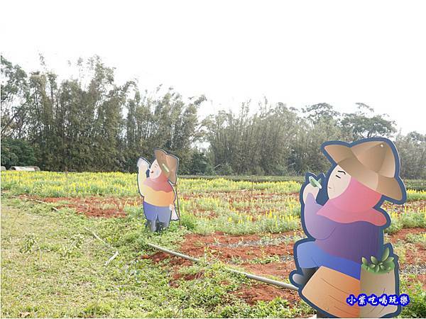 八甲茶園-魯冰花 (2).jpg