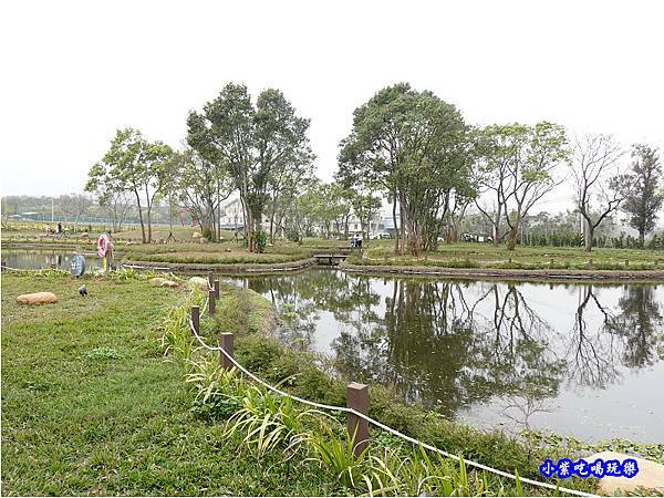 聯合大學大學池 (2).jpg