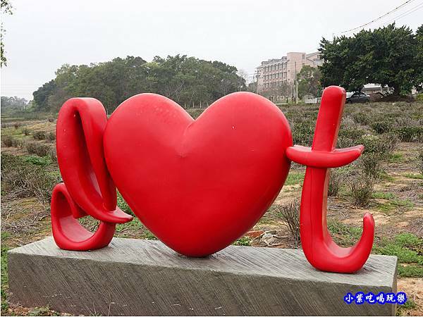 貓裏紅-八甲茶園魯冰花季 (18).jpg