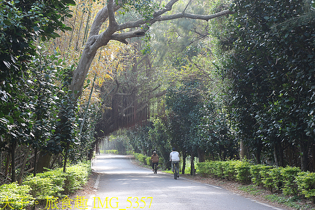 IMG_5357.jpg - 桃園新屋永安漁港 20210224