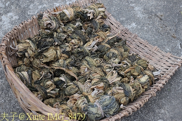 IMG_8479.jpg - 哈肯舖春遊蘿蔔田產地小旅行 2014/02/15 