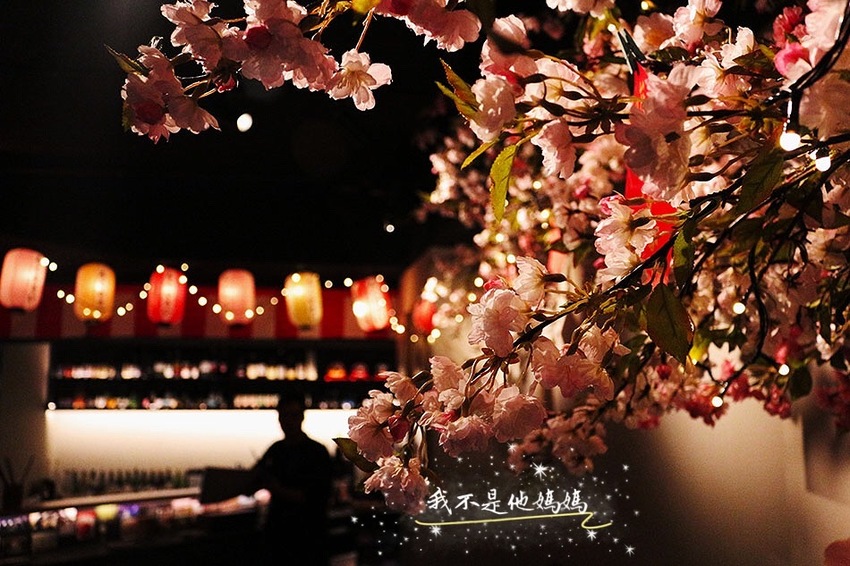 松山區平價居酒屋,松山區平價宵夜,松山區平價日式料理,松山區串燒,南京三民平價宵夜,南京三民平價居酒屋,南京三民平價日式料理,育達美食