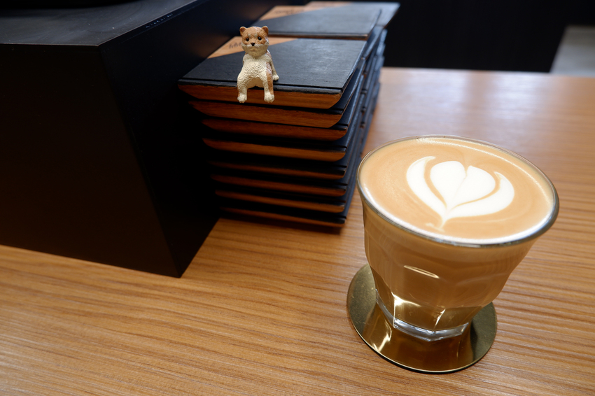 RockyDoggy Coffee Store 咬滾狗狗咖啡館-以行動支持流浪動物的咖啡館