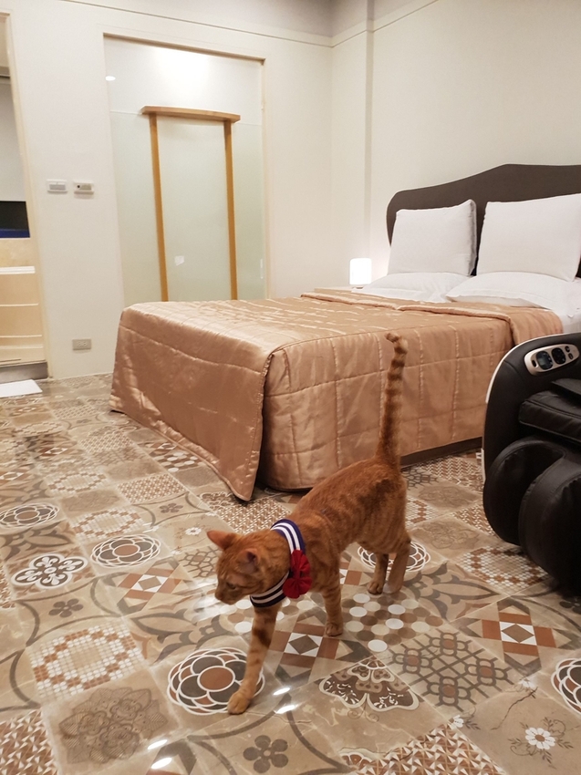 240771.jpg - 【台南.安平】允頌汽車旅館。一房一車庫。寵物友善住宿