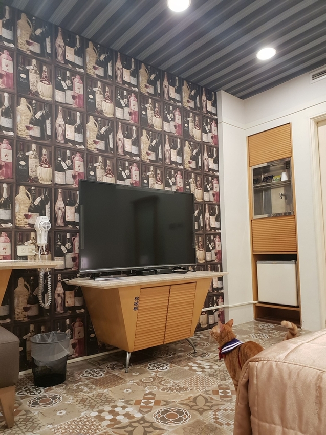 240773.jpg - 【台南.安平】允頌汽車旅館。一房一車庫。寵物友善住宿