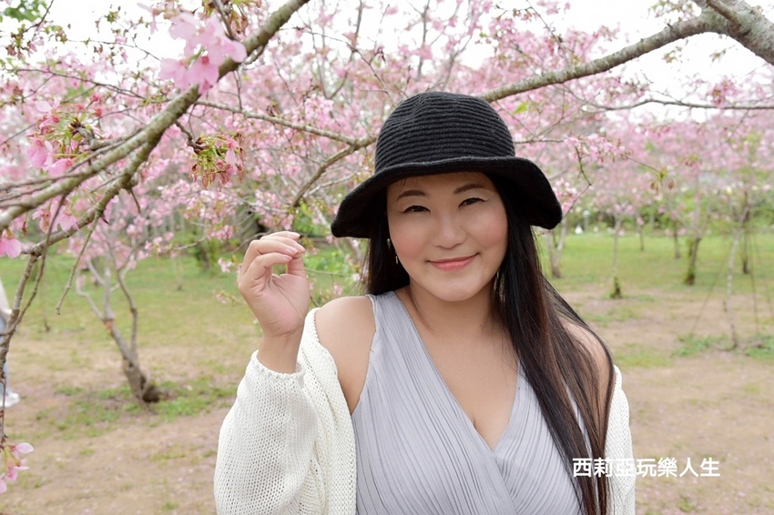 台中新社區|2021新社月湖莊園 富士櫻爆炸開 九重葛花牆 台中限定賞櫻秘境 台中IG打卡熱點 春日限定景點 探訪日期:110/03/07|西莉亞玩樂人生 11.jpg