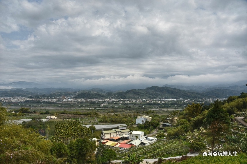 台中新社區|2021新社月湖莊園 富士櫻爆炸開 九重葛花牆 台中限定賞櫻秘境 台中IG打卡熱點 春日限定景點 探訪日期:110/03/07|西莉亞玩樂人生 24.jpg