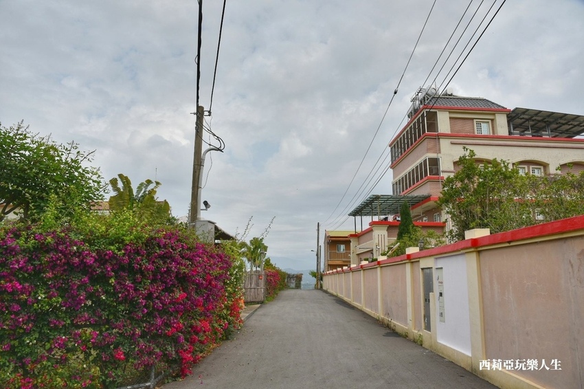 台中新社區|2021新社月湖莊園 富士櫻爆炸開 九重葛花牆 台中限定賞櫻秘境 台中IG打卡熱點 春日限定景點 探訪日期:110/03/07|西莉亞玩樂人生 23.jpg