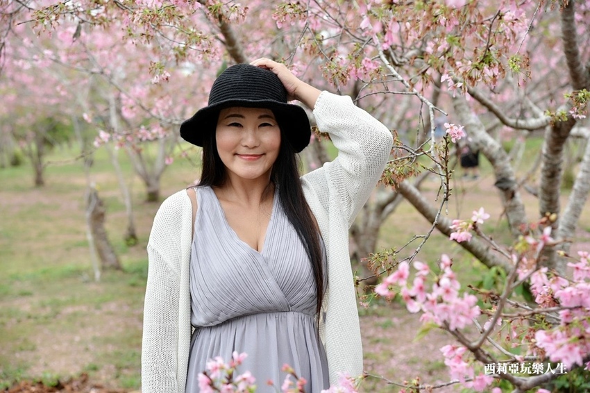 台中新社區|2021新社月湖莊園 富士櫻爆炸開 九重葛花牆 台中限定賞櫻秘境 台中IG打卡熱點 春日限定景點 探訪日期:110/03/07|西莉亞玩樂人生 10.jpg