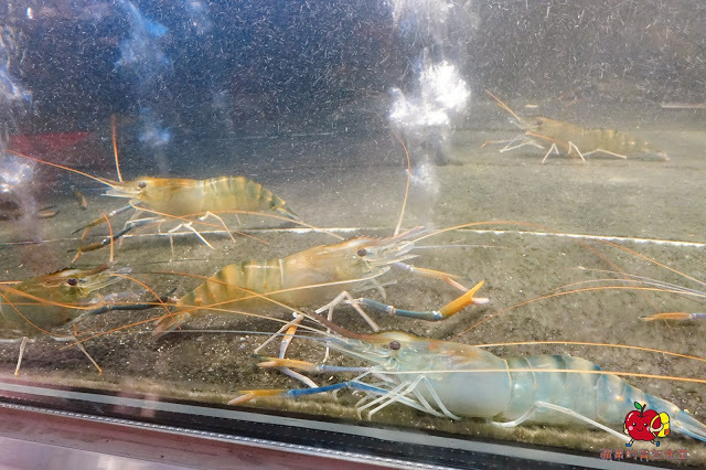 [活蝦 熱炒] 新竹 - 百家班活蝦料理 蝦膏飽滿鮮味濃郁的鹽烤蝦 外皮酥脆到一見鍾情的菜圃麻糬燒 雞皮Q脆油亮去骨冰鎮油雞