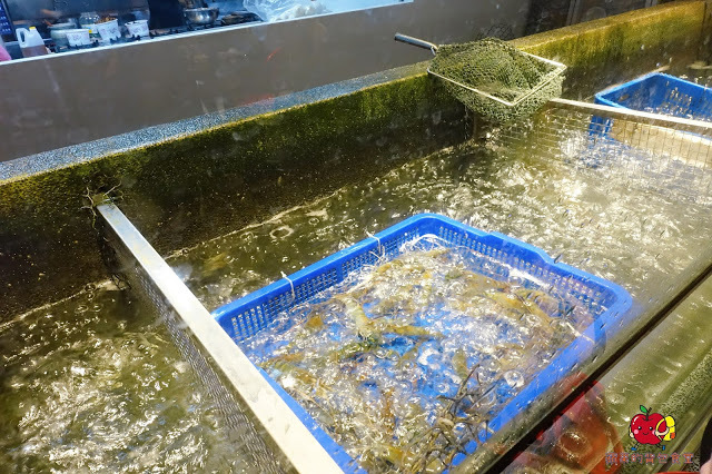 [活蝦 熱炒] 新竹 - 百家班活蝦料理 蝦膏飽滿鮮味濃郁的鹽烤蝦 外皮酥脆到一見鍾情的菜圃麻糬燒 雞皮Q脆油亮去骨冰鎮油雞