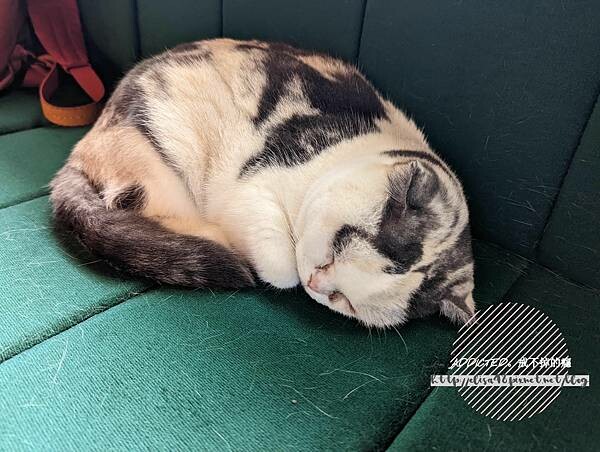 PXL_20221127_054659600_结果