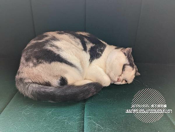 PXL_20221127_055128207_结果