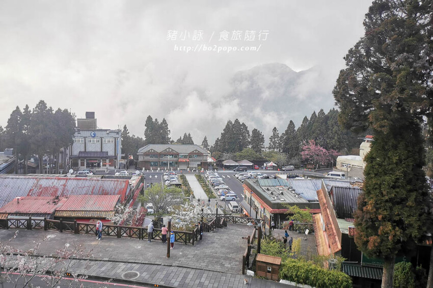 嘉義。阿里山》阿里山青山別館+早起玉山看不到的日出