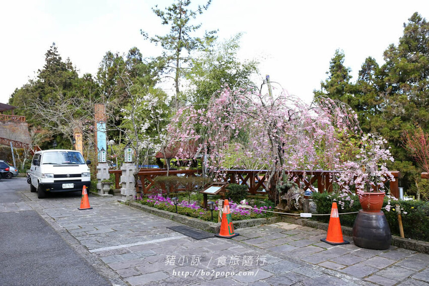 嘉義。阿里山》阿里山青山別館+早起玉山看不到的日出