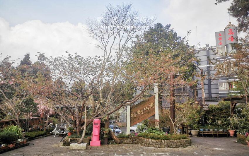 嘉義。阿里山》阿里山青山別館+早起玉山看不到的日出