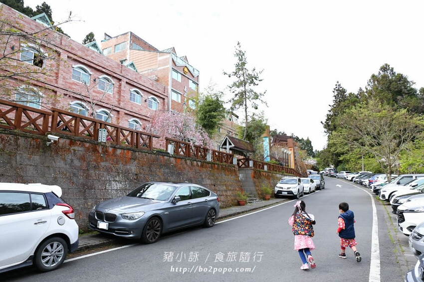 嘉義。阿里山》阿里山青山別館+早起玉山看不到的日出