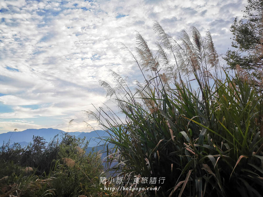 嘉義。阿里山》阿里山青山別館+早起玉山看不到的日出