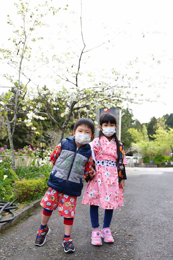 嘉義。阿里山》阿里山青山別館+早起玉山看不到的日出