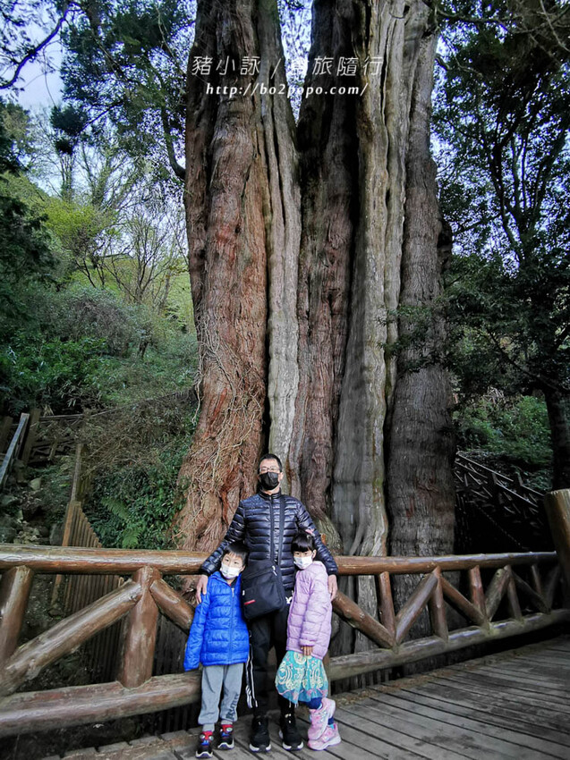 嘉義。阿里山》阿里山青山別館+早起玉山看不到的日出