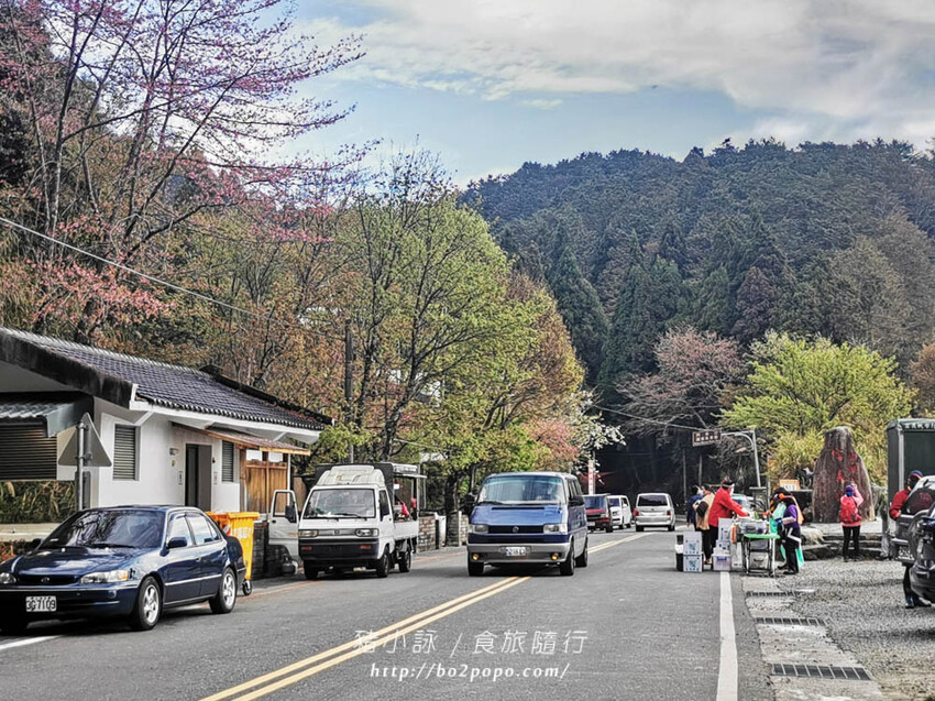 嘉義。阿里山》阿里山青山別館+早起玉山看不到的日出