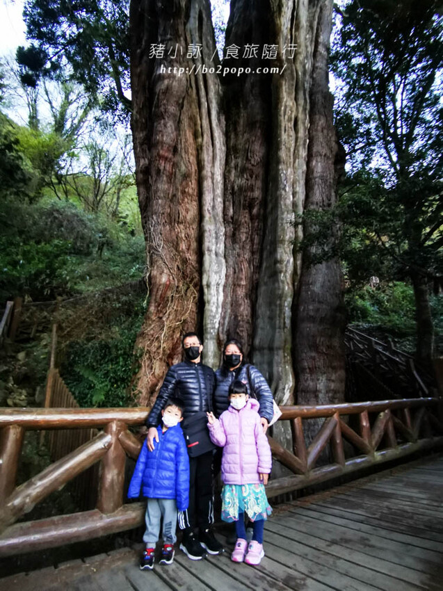 嘉義。阿里山》阿里山青山別館+早起玉山看不到的日出
