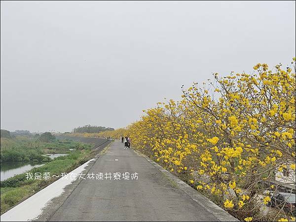 大林陳井寮堤防13.jpg