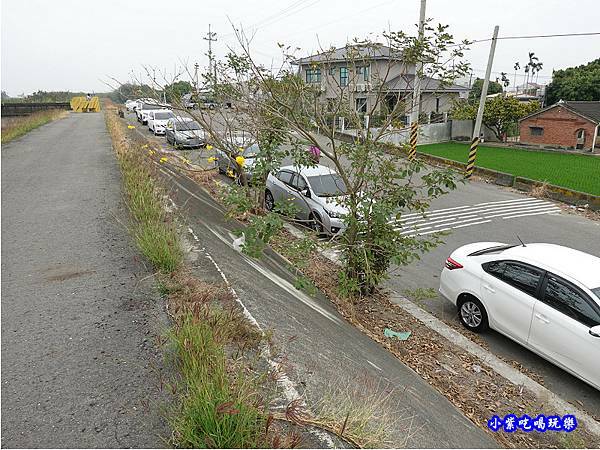 嘉義大林-陳井寮提防黃花風鈴木步道路邊停車.jpg 嘉義大林-陳井寮提防黃花風鈴木步道路邊停車.jpg