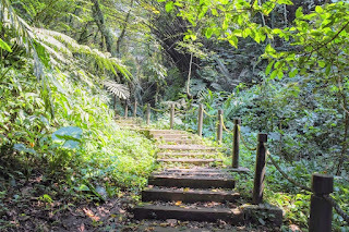 新竹景點-水濂橋步道-中壢社大週四趴趴走，疫情緩和之首發輕旅遊