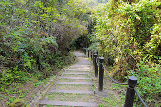 新竹景點-水濂橋步道-中壢社大週四趴趴走，疫情緩和之首發輕旅遊