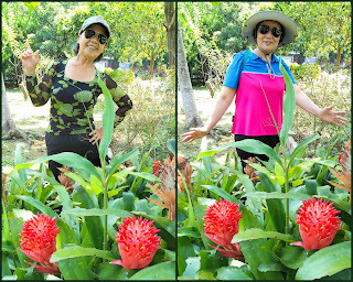 新竹景點-水濂橋步道-中壢社大週四趴趴走，疫情緩和之首發輕旅遊