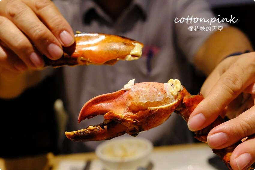 台中海鮮火鍋推薦|菁饌涮涮鍋活龍蝦套餐真正鮮到爆！吃過就回不去了～ - 棉花糖的天空