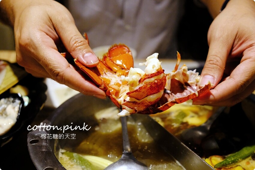 台中海鮮火鍋推薦|菁饌涮涮鍋活龍蝦套餐真正鮮到爆！吃過就回不去了～ - 棉花糖的天空
