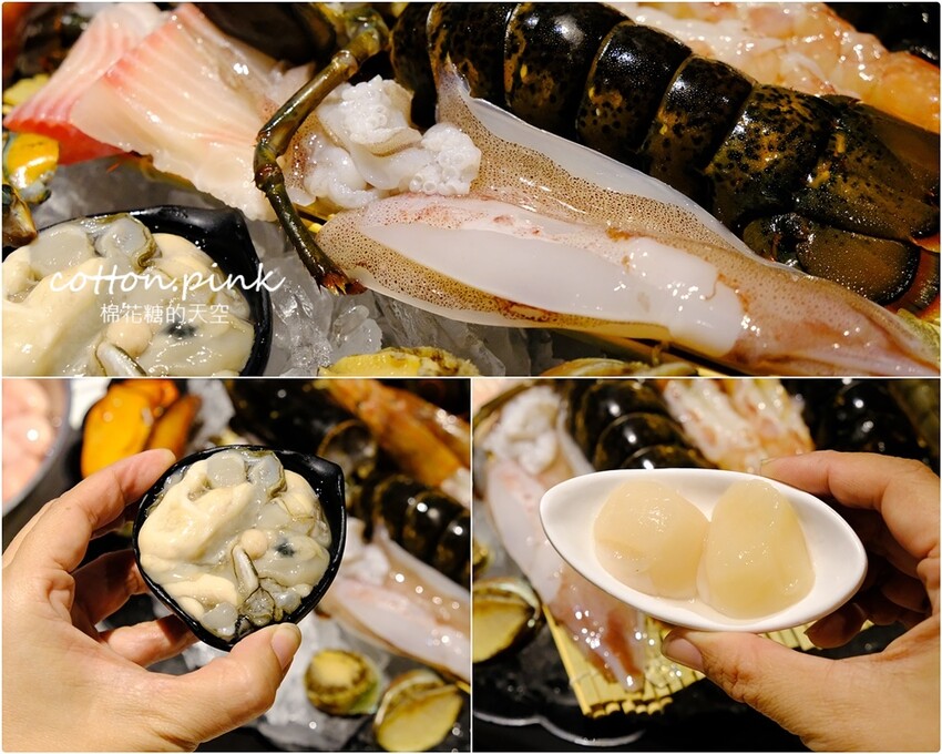 台中海鮮火鍋推薦|菁饌涮涮鍋活龍蝦套餐真正鮮到爆！吃過就回不去了～ - 棉花糖的天空