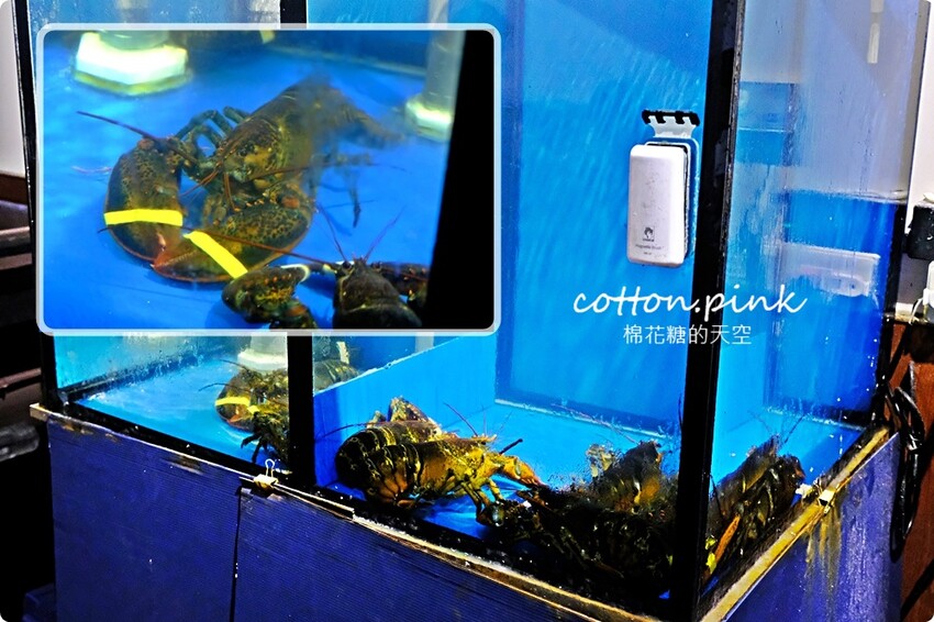 台中海鮮火鍋推薦|菁饌涮涮鍋活龍蝦套餐真正鮮到爆！吃過就回不去了～ - 棉花糖的天空