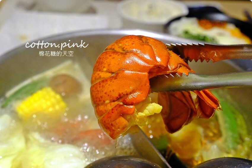 台中海鮮火鍋推薦|菁饌涮涮鍋活龍蝦套餐真正鮮到爆！吃過就回不去了～ - 棉花糖的天空