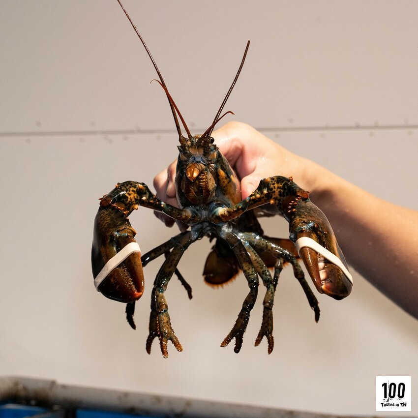 【台中北屯美食】菁饌涮涮鍋|爆料系鍋物!巨量雞佛、蛤蜊、干貝給好給滿,海陸饗宴雙滿足! | 別墅裡的 100 種味道