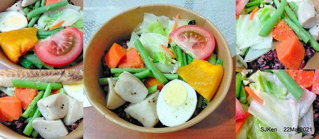 snapper lunch box at Taipei, Taiwan, SJKen, Mar 22, 2021