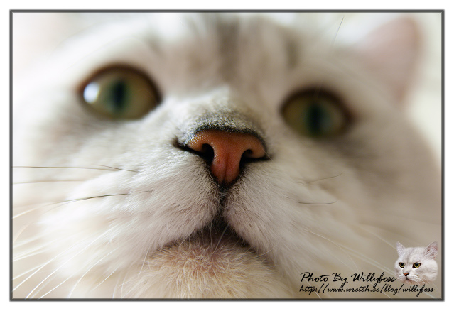 元祖福州胡椒餅(台北萬華)