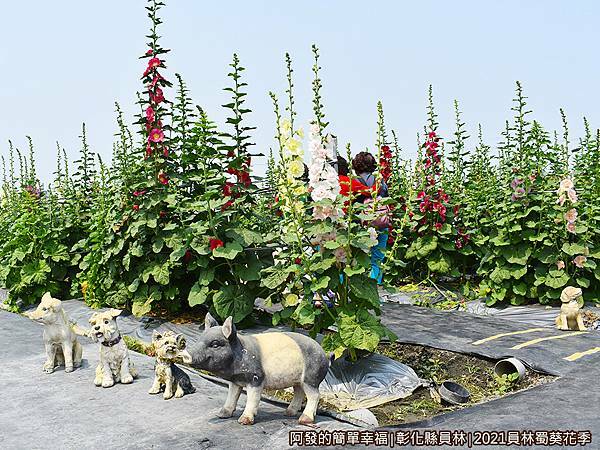 員林蜀葵花季08-蜀葵下的可愛動物裝飾.JPG