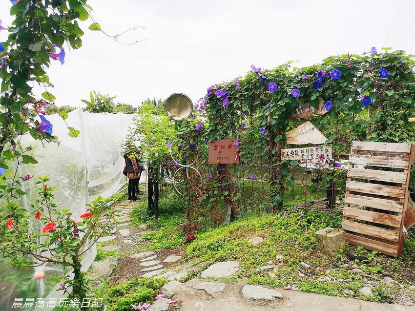 ​​​​宜蘭景點/採桑葚/草地果園