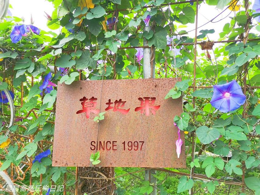 ​​​​宜蘭景點/採桑葚/草地果園