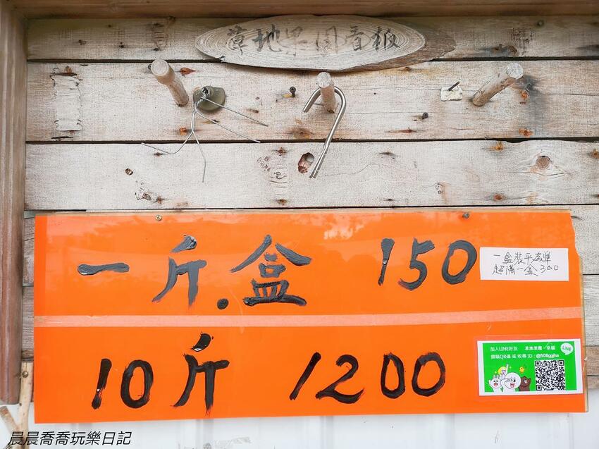 ​​​​宜蘭景點/採桑葚/草地果園