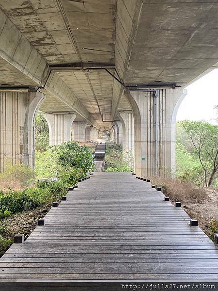 20210321_011205403_iOS