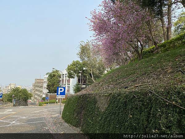 20210321_015827876_iOS