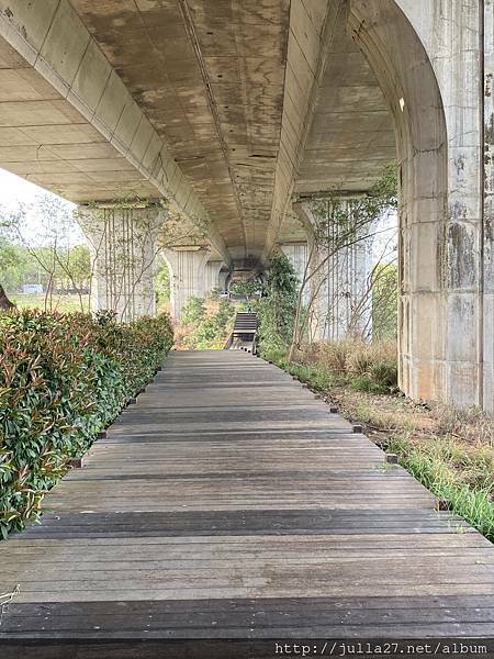 20210321_011754802_iOS